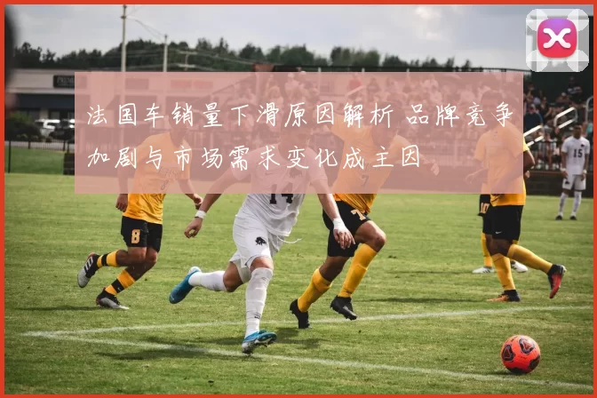 法国车销量下滑原因解析 品牌竞争加剧与市场需求变化成主因