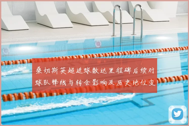 桑切斯英超进球数达里程碑后续对球队锋线与转会影响及历史地位变化解读