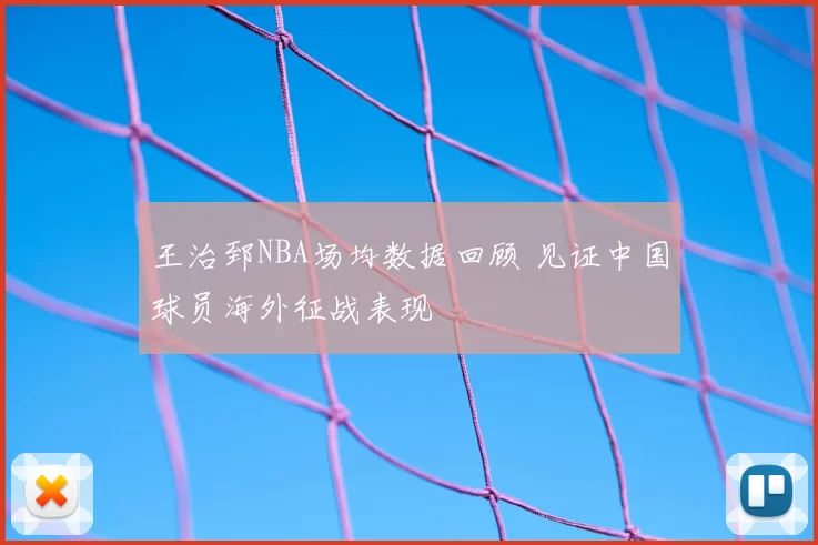 王治郅NBA场均数据回顾 见证中国球员海外征战表现