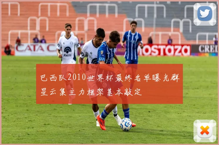 巴西队2010世界杯最终名单曝光群星云集主力框架基本敲定