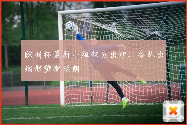 欧洲杯最新小组积分出炉：各队出线形势渐明朗