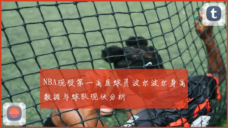 NBA现役第一高度球员波尔波尔身高数据与球队现状分析