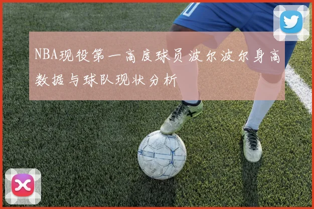 NBA现役第一高度球员波尔波尔身高数据与球队现状分析